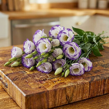 Rosita 2 Blue Picotee, (F1) Lisianthus Seeds - Packet image number null